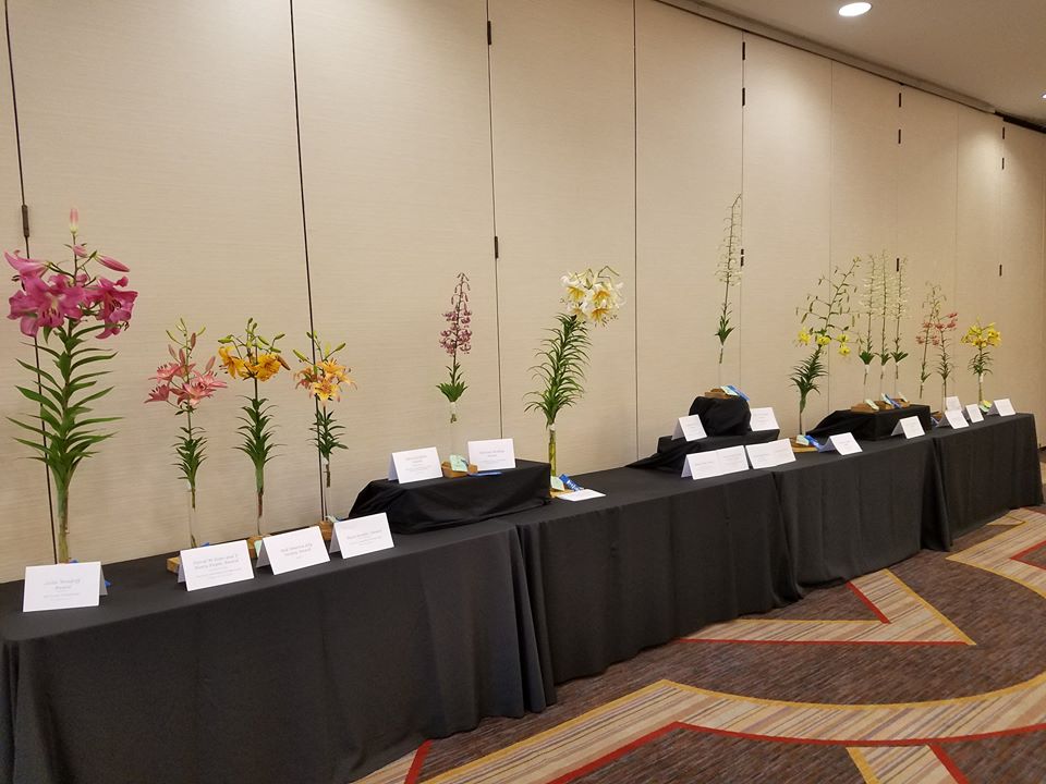 Queen's table at the Lily Show